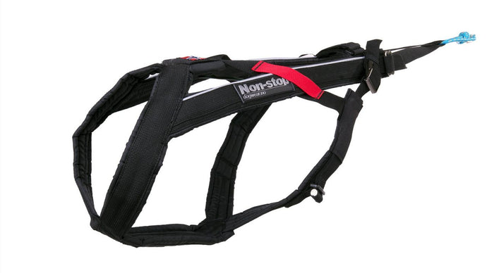 Non-Stop - Freemotion Harness