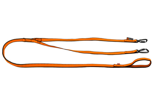 Double Bungee Leash